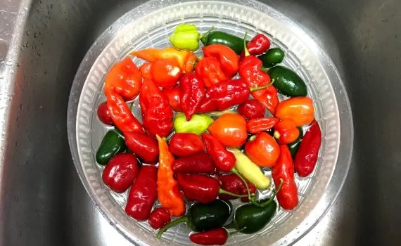 smoky hot sauce peppers