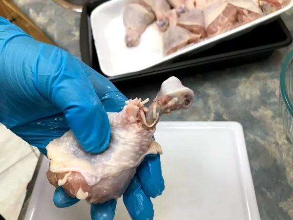 Removed knuckle for chicken lollipop