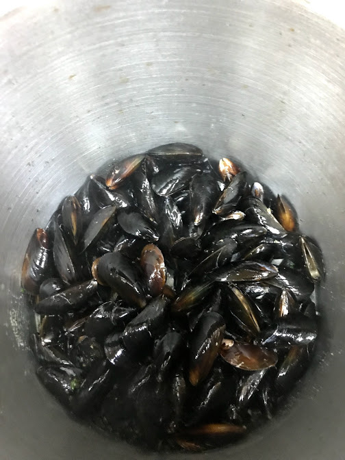 mussels in broth
